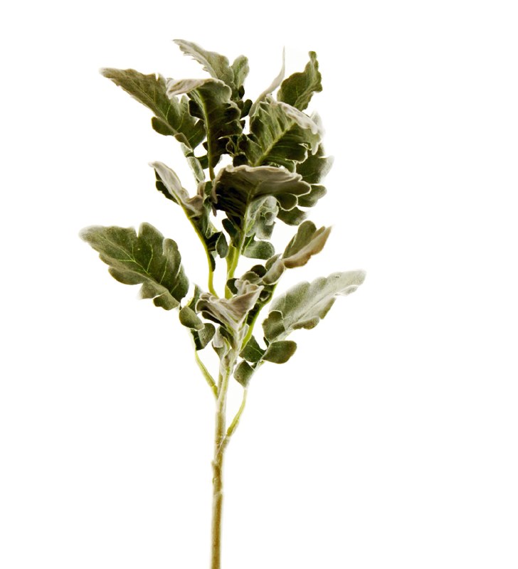 Picture of Artificial Leaf Spray Frosted Green